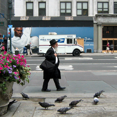 Rabbi on Fifth Avenue