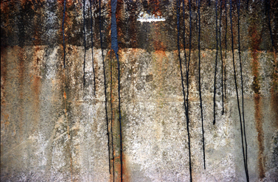 Requiem 3 by Betsy Phillips