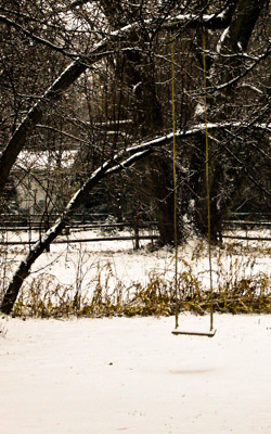 Waiting for Spring by George Wallace