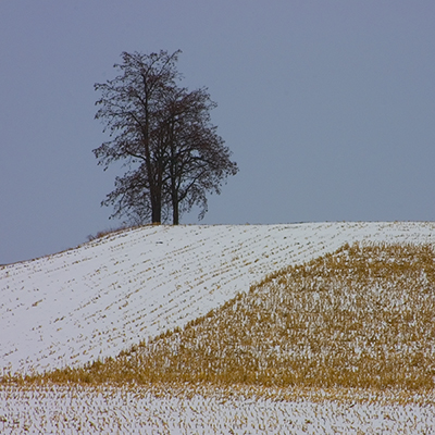 Cornfields Contours by Bill Bernbeck