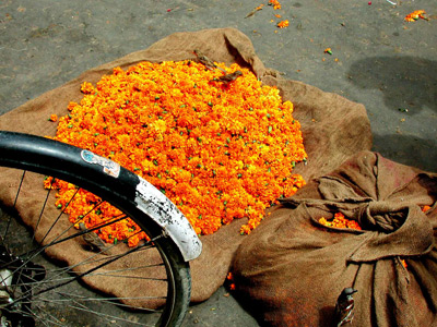Indian Flower Market by Daniel P. Crozet