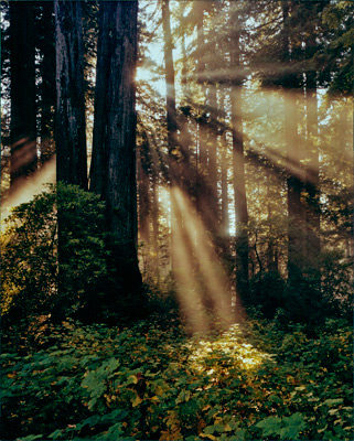 God Beams of Del Norte by Gary Thompson