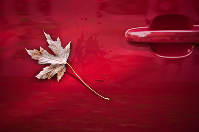 Driven Leaf by Gil Maker