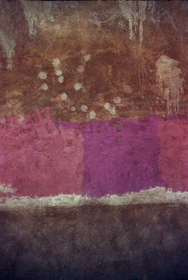 Arise by Betsy Phillips