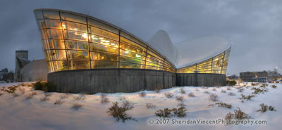 Wings at Dusk by Sheridan Vincent