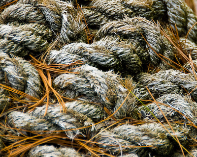 Autumn by George Wallace