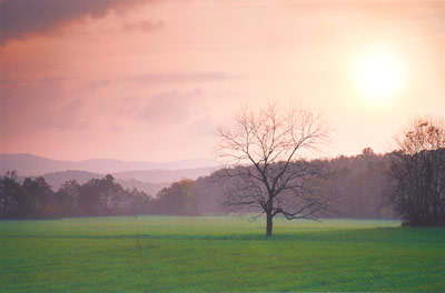 Days End by Phyllis Thompson