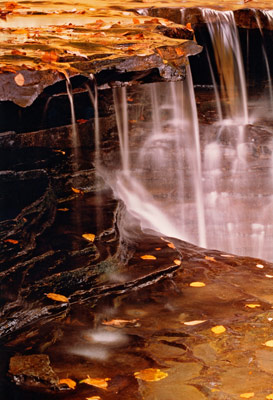 Golden Falls by Phyllis Thompson