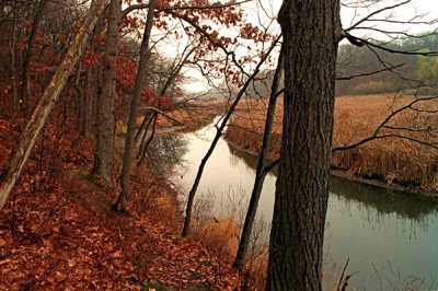 Ellison Park by Joel Krenis