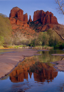 Cathedral Rocks by Phyllis Thompson