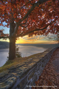 Fog on the Genesee by Sheridan Vincent