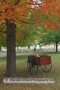 Wagon and Biker by Sheridan Vincent