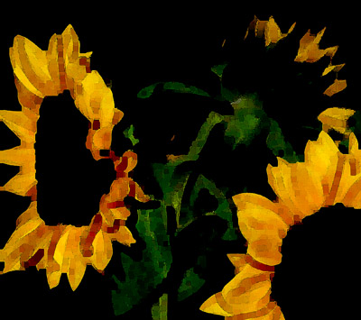 Sunflower by Crozet