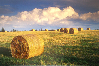 Hay Harvest Sunset by Gary Thompson