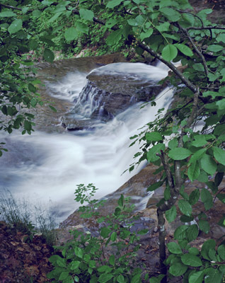 Spring at Wolf Creek Glen by Gary Thompson