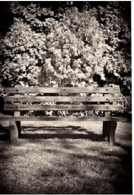 Bench by Maker