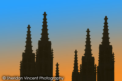 Awakening by Vincent