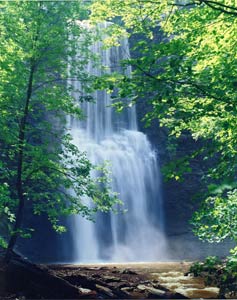 Fall Brook Falls by Gary Thompson