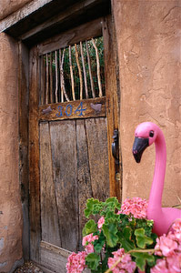 Flamingo Door by Jim Patton