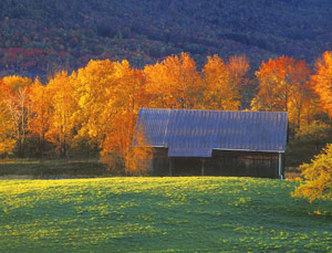 Morning Sunrise by Phyllis Thompson