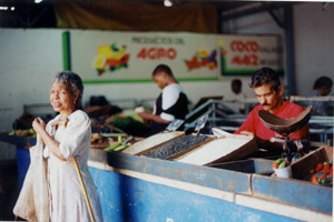 Farmers Market - Cuba by Darlene Pruess