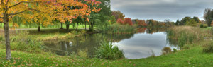 Seneca Pond by Sheridan Vincent