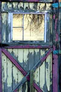 Branches by Donna Cox