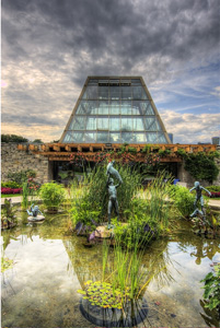 Fantasy by John Solberg