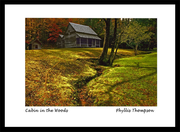 Cabin in the Woods by Phyllis Thompson
