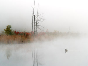 Round Pond by John H. Bailey