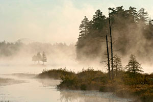 Dawn, Raquette Lake #10