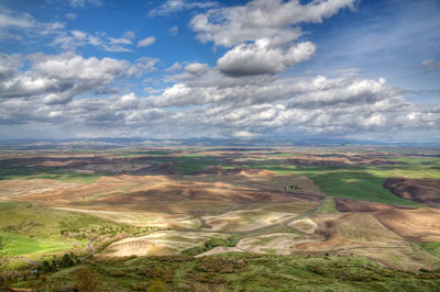 Palouse #1 by Rick Mearns