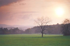 Day's End at Cades Cove by Phyllis Thompson