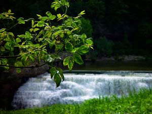 Lower Falls by CDS Photog