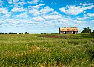 Hammond Barn by George Wallace