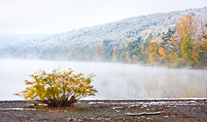 Morning at Hemlock Lake by Steve Malloy Desormeaux