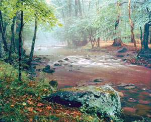 Abrams Creek by Gary Thompson