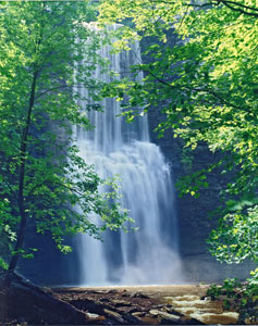 Fall Brook Falls by Gary Thompson