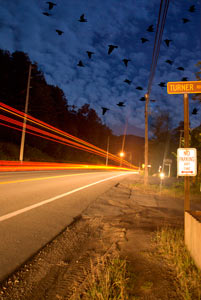 Turner Rd by Len Crellin