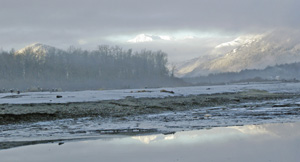 Chilkat River Valley by Archie Curry