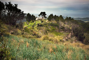 Majorca - Tramontana by Joel Krenis