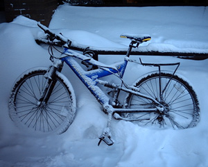 Frozen Bike by Thomas Barker