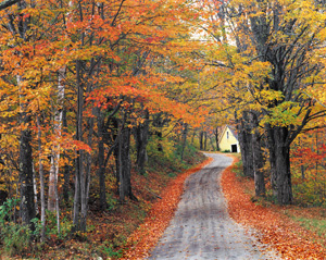 Road to Home by Gary Thompson