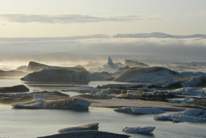 Misty Sunset over Icebergs by Daniel Silver