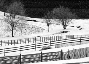 Six Fences by Dan Neuberger