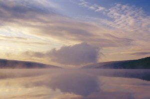 Hemlock Morning 2 by Ridley