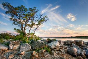 West Meadow Sunset by Steve Malloy Desormeaux