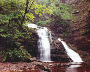 Spring at Grimes Glen by Gary Thompson