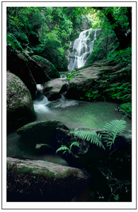 Waterfall, Mt. Athos by Doug Lyttle