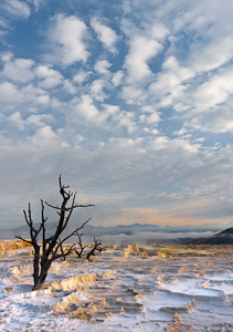 Morning Sky by Lois Trieb